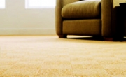 Carpet Inspection